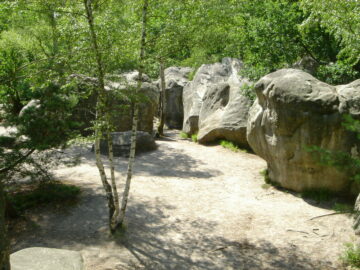 Blocs descalade en foret de Fontainebleau.JPG