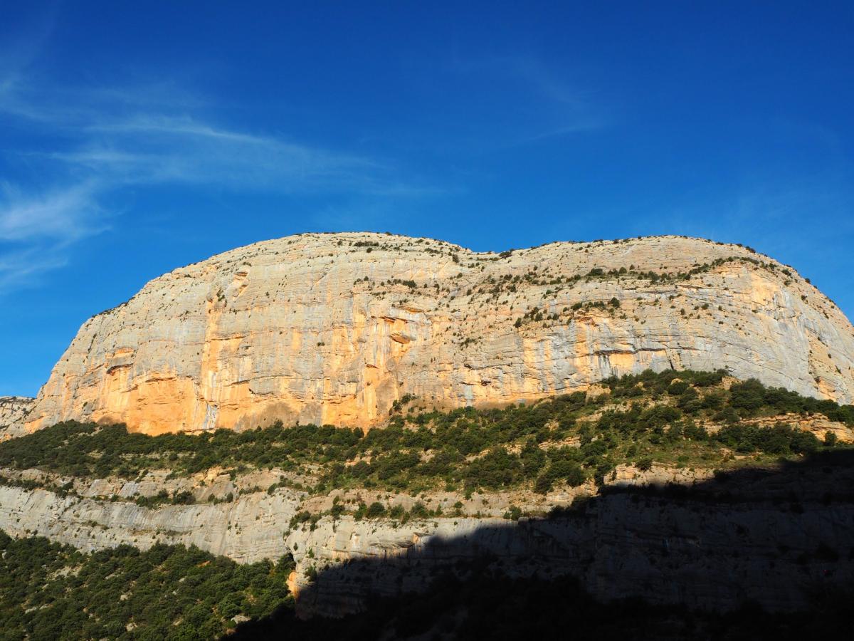 Vilanova