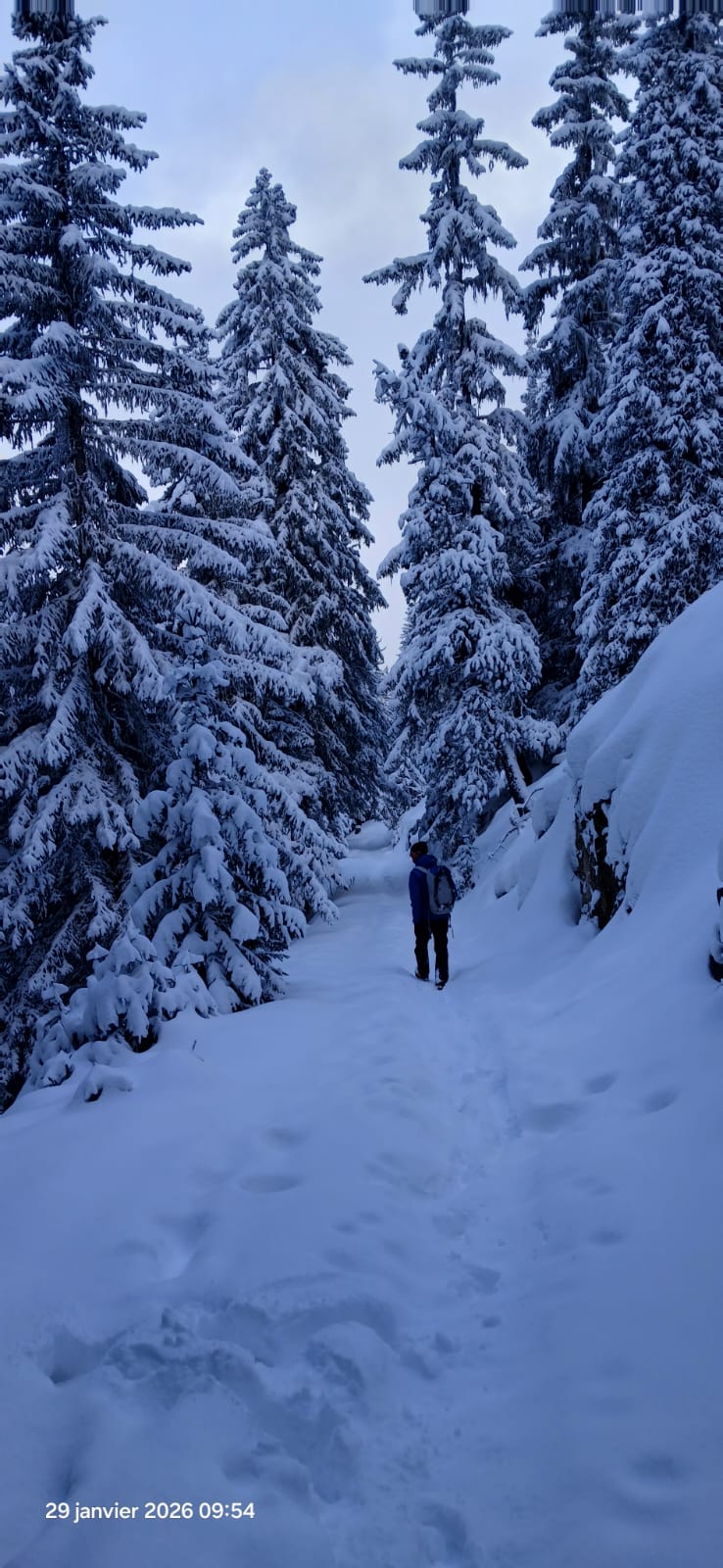 Photo de Lagarrigue Vincent () {{brizy_dc_image_alt imageSrc=