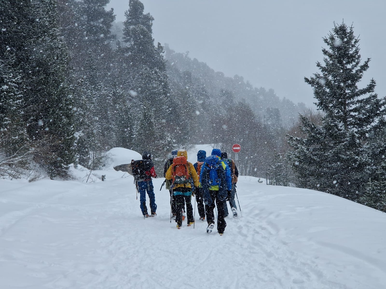 Photo de Lagarrigue Vincent () {{brizy_dc_image_alt imageSrc=