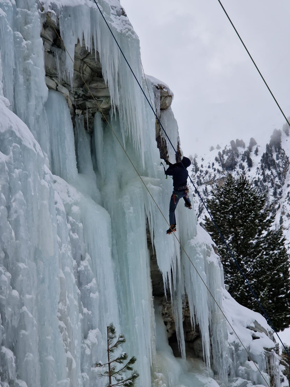 Photo de Lagarrigue Vincent {{brizy_dc_image_alt imageSrc=