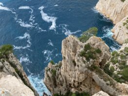 {{brizy_dc_image_alt entityId=