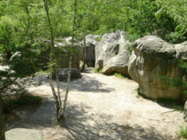 Blocs descalade en foret de Fontainebleau.JPG