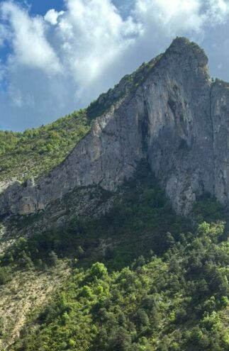 IMG WA {{brizy_dc_image_alt imageSrc=