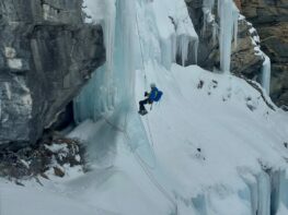 {{brizy_dc_image_alt entityId=