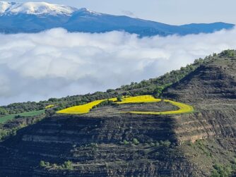 Photo de Lagarrigue Vincent()