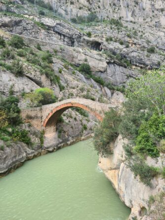 Photo de Lagarrigue Vincent()
