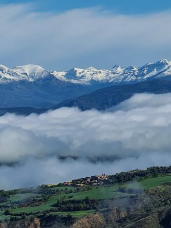 Photo de Lagarrigue Vincent()