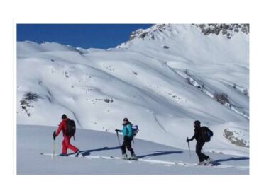 {{brizy_dc_image_alt entityId=